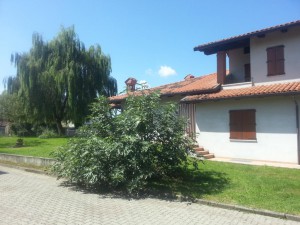 20140824_125302